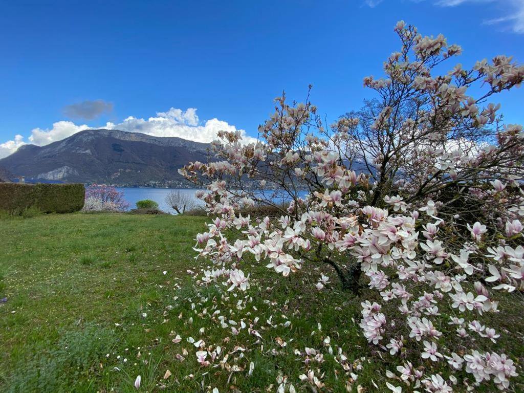 La Roseliere Sud, Vue Lac & Jardin سُفرييه المظهر الخارجي الصورة